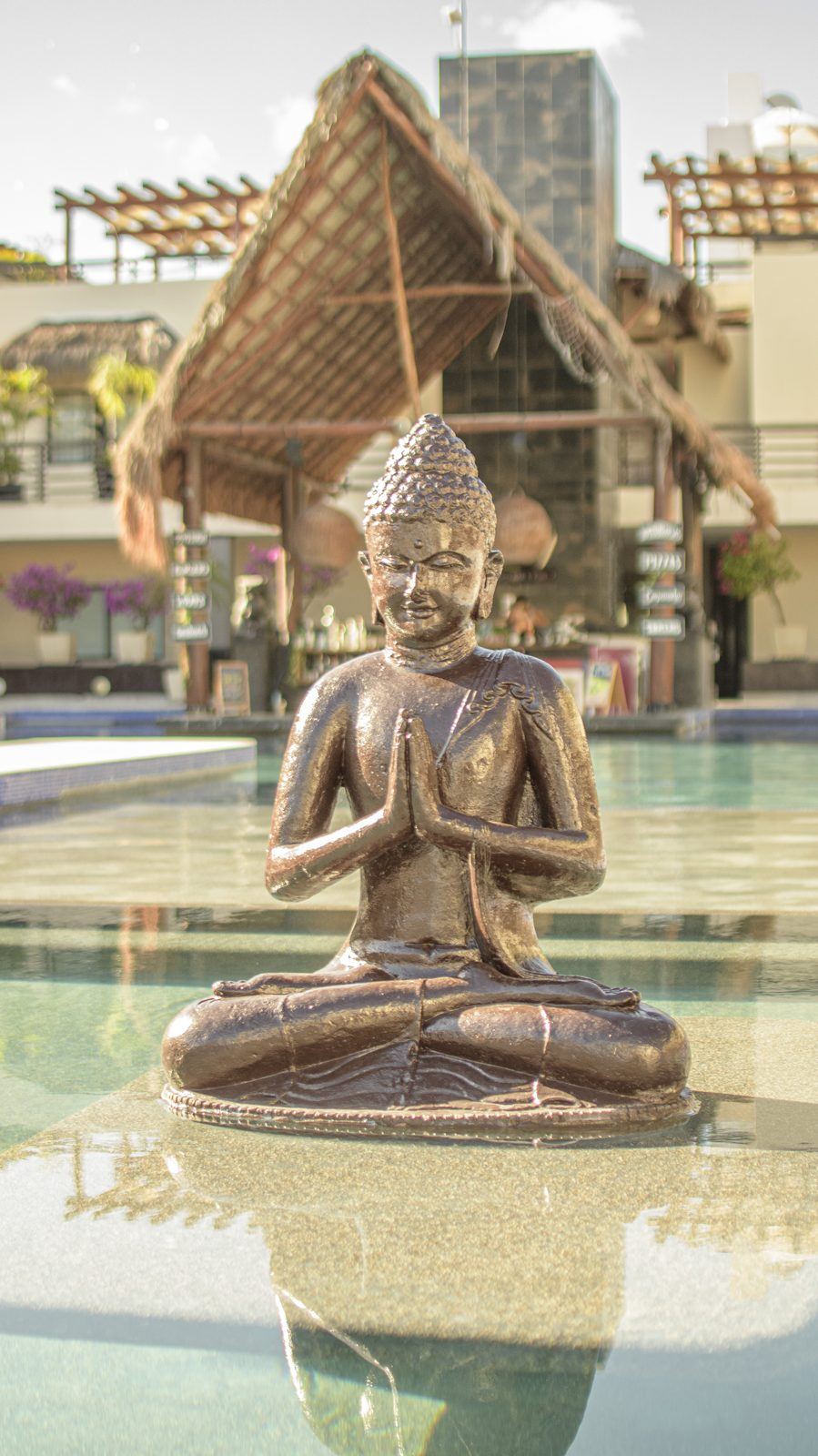 Un Buda de bronce sentado a la orilla de la alberca, con su reflejo debajo